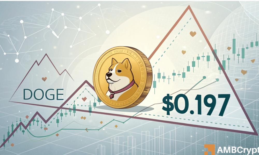 The Dogecoin Triangle Collapse - Why Traders are Concerned